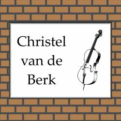 RVS look naambord voordeur instrument 3